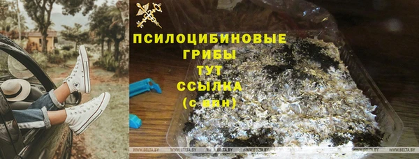 гашик Аркадак