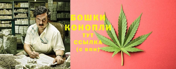 гашик Аркадак