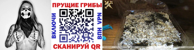 Галлюциногенные грибы GOLDEN TEACHER  купить наркотики сайты  Орёл 
